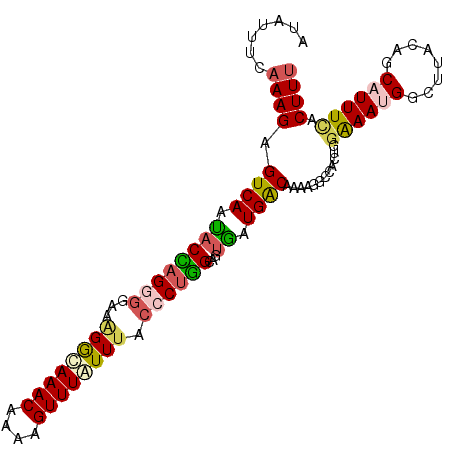 secondary structure
