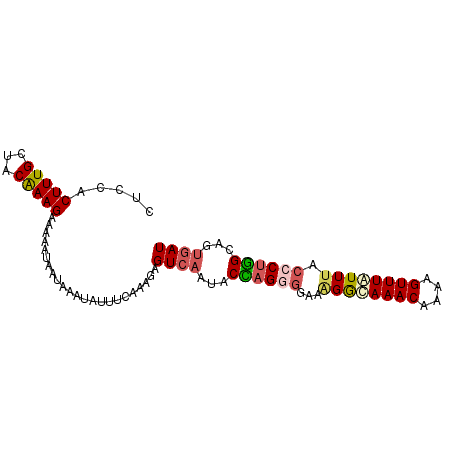 secondary structure