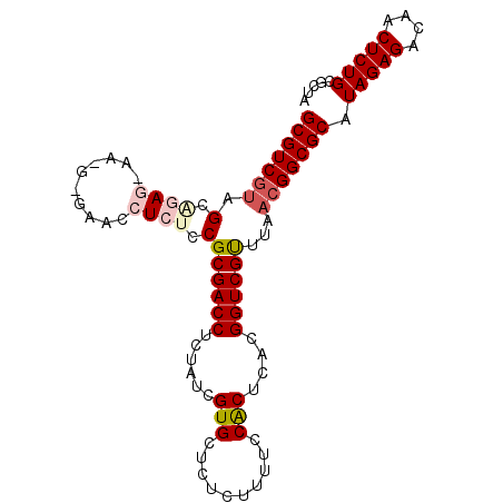 secondary structure