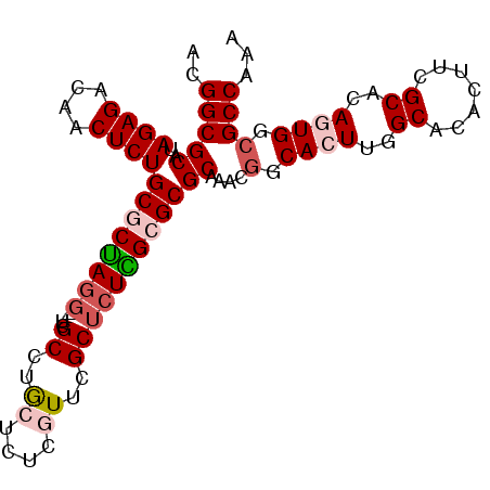 secondary structure