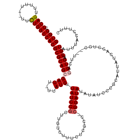 secondary structure