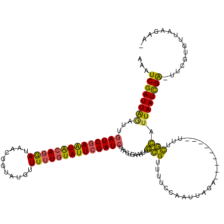 secondary structure
