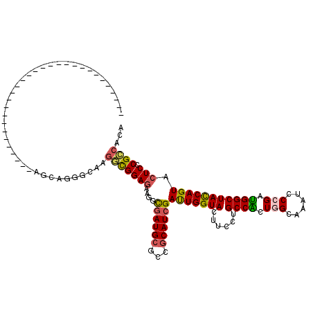 secondary structure