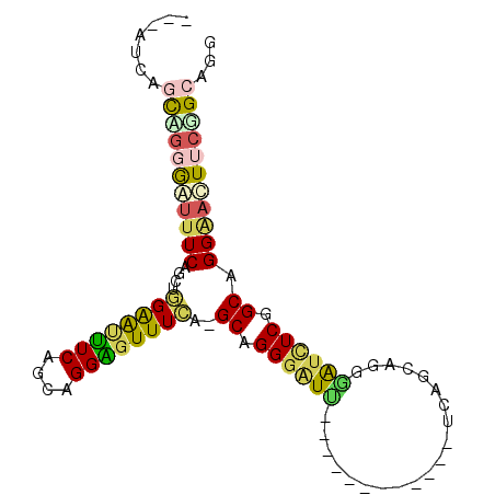secondary structure