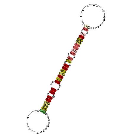secondary structure