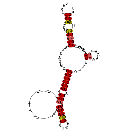 secondary structure