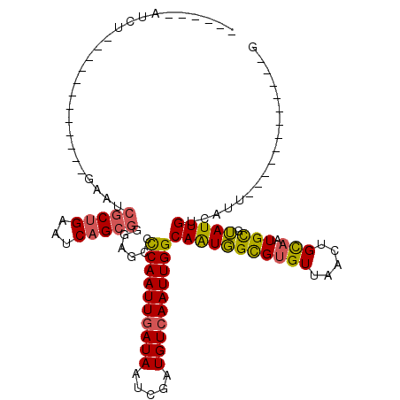 secondary structure