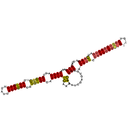 secondary structure