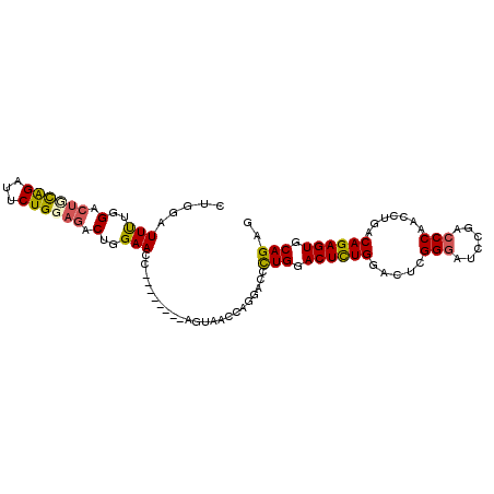 secondary structure
