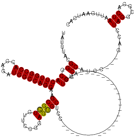 secondary structure