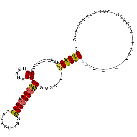 secondary structure
