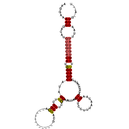 secondary structure