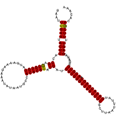 secondary structure