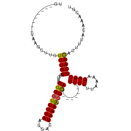secondary structure