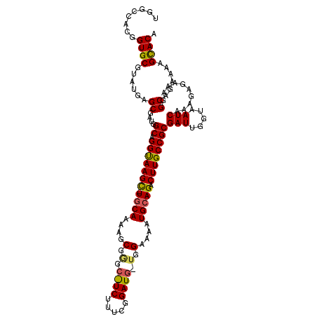 secondary structure