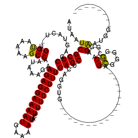 secondary structure