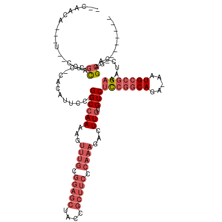 secondary structure
