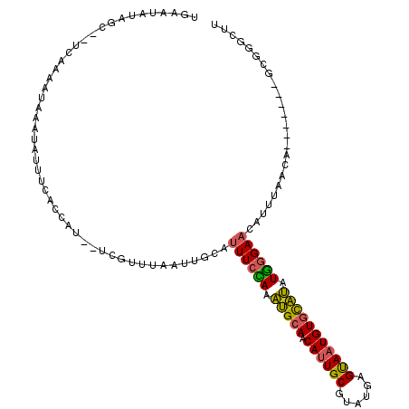 secondary structure