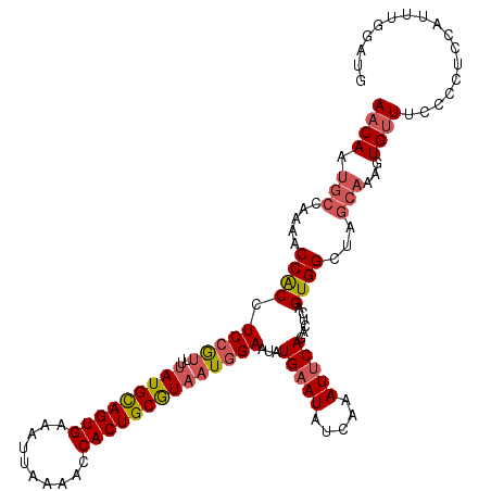 secondary structure