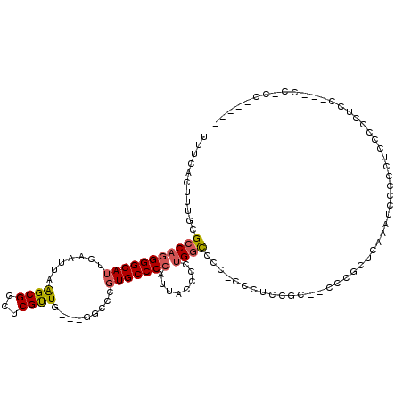 secondary structure