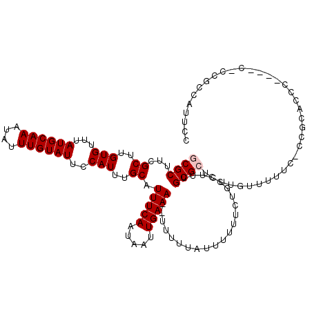 secondary structure