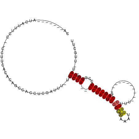 secondary structure