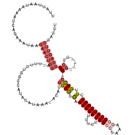 secondary structure