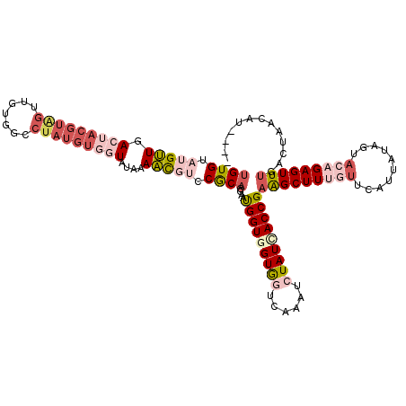 secondary structure