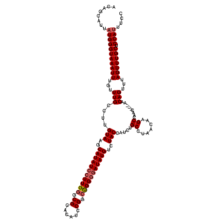 secondary structure