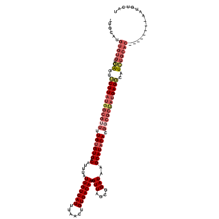 secondary structure