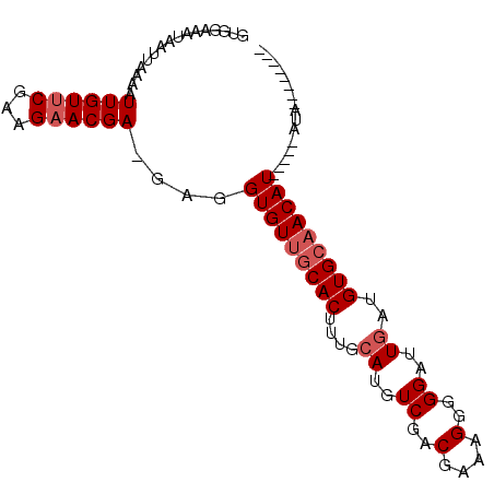 secondary structure