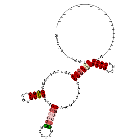 secondary structure