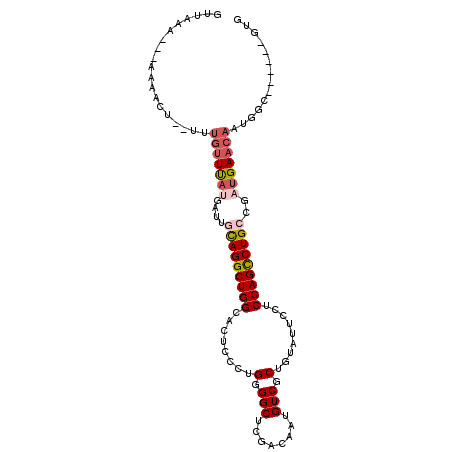 secondary structure