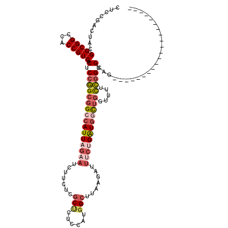 secondary structure
