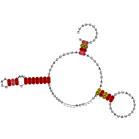 secondary structure
