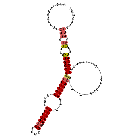 secondary structure
