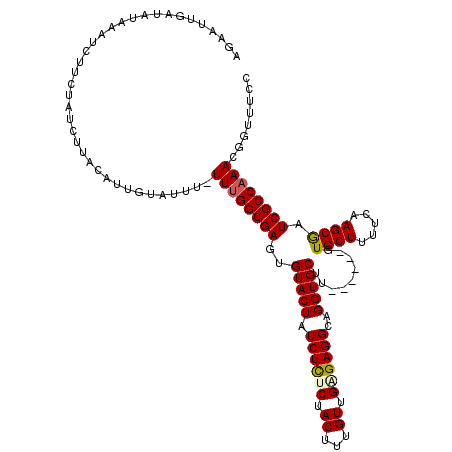 secondary structure