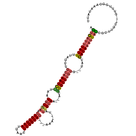 secondary structure
