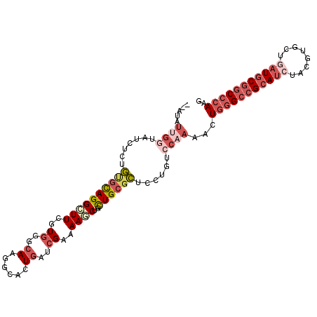 secondary structure