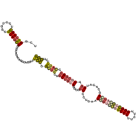 secondary structure