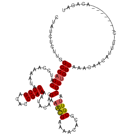 secondary structure