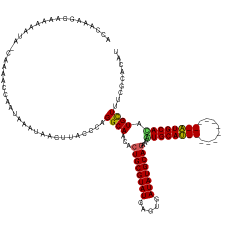 secondary structure