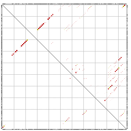 dotplot