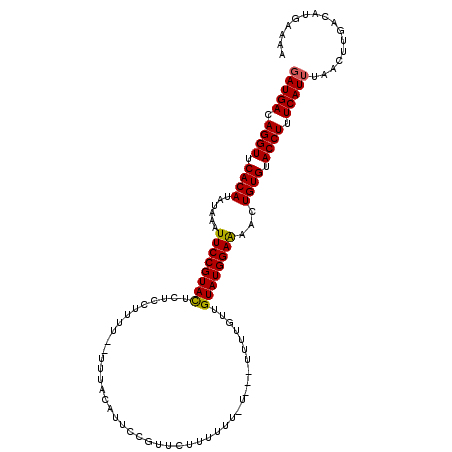secondary structure