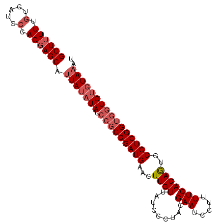 secondary structure