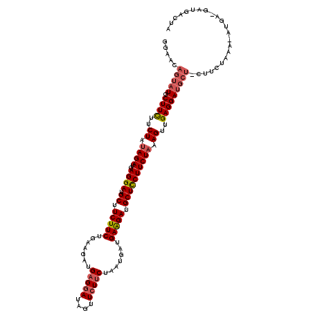 secondary structure