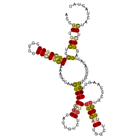 secondary structure