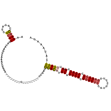 secondary structure
