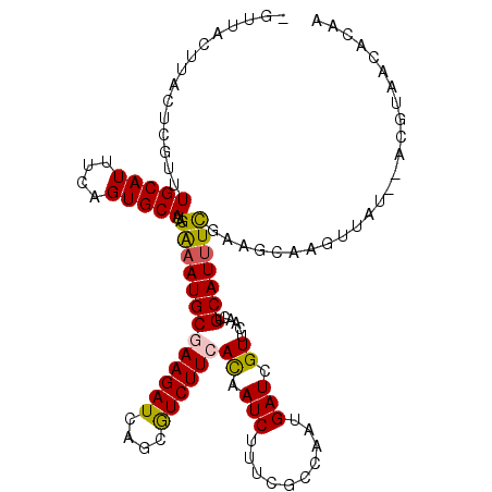 secondary structure