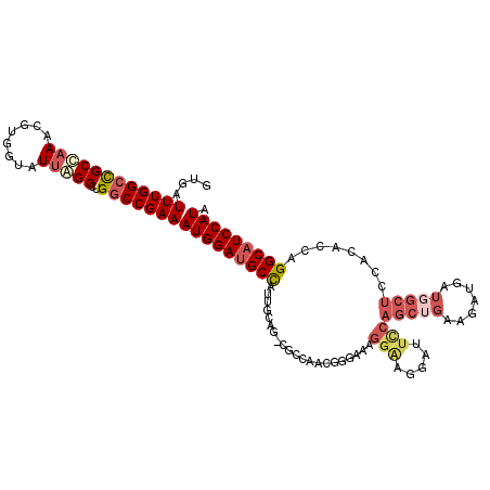 secondary structure